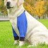 Dog Front Leg Bandage, 1 Pair, Dirt-Resistant, Breathable, Wear-Resistant Knee Protector for Small Dogs view 2