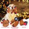 Seasboes Christmas Squeaky Dog Toy view 3