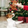 Seasboes Christmas Squeaky Dog Toy view 4