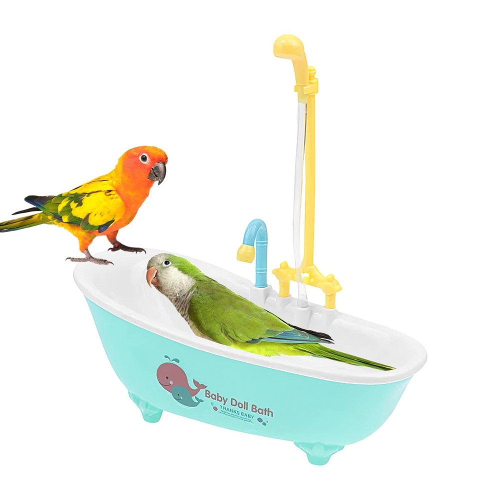 Bird Bath, Parrot Bath | Budgie Shower Bath