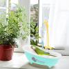 Bird Bath, Parrot Bath | Budgie Shower Bath view 2