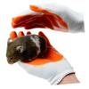 Kisangel 2 Pairs Animal Protection Gloves view 4