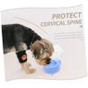 BCOATH 3-Piece Automatic Water Dispenser for Pets, Transparent Water Station for Dogs and Cats at Home and on the Go - Easy view 2