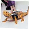 BESPORTBLE Bearded Dragon Harness and Leash view 4