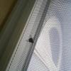 Custom-Size Self-Adhesive Fly Screen with Zipper view 4