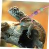 BESPORTBLE Adjustable Leash for Lizards view 2