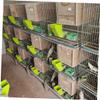 CIYODO Hanging Bird Feeder for Parrots view 2