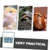 BESPORTBLE Reusable Reptile Terrarium Carpet Mat view 3