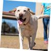 TOGEVAL Customizable Pet Tag with Engraved Nameplate for Dogs and Cats view 2