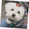 BESPORTBLE 200 PCS Dog Hair Ribbons view 3