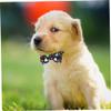 CIYODO Adjustable Pet Collar for Small Dogs or Cats view 3