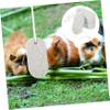 BELLIFFY 5-Piece Volcanic Stone Chew Toy for Hamsters and Rabbits view 4