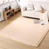 DSSHENGDS Extra-Soft Thick Coral Velvet Rug, 150 x 200 cm view 1
