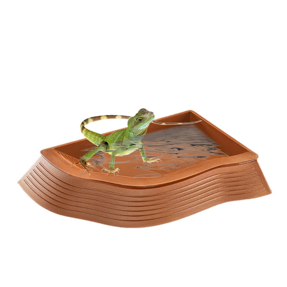 Turtle Water Bowl for Reptiles