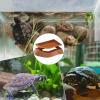 Turtle Water Bowl for Reptiles view 4