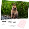 BESPORTBLE Pink Rabbit Cage Mats, 4-Pack, Plastic view 4