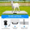 MINRS Digital Pet Scale with LCD Display, 300 kg Capacity view 3