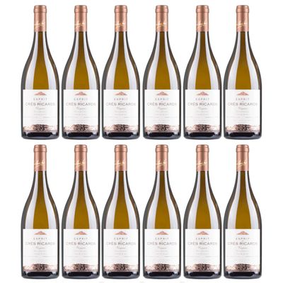 Domaines Paul Mas Esprit de Crs Ricards Viognier Dry White Wine, France, with FeinWert E-Book (12 x 0.75 L)