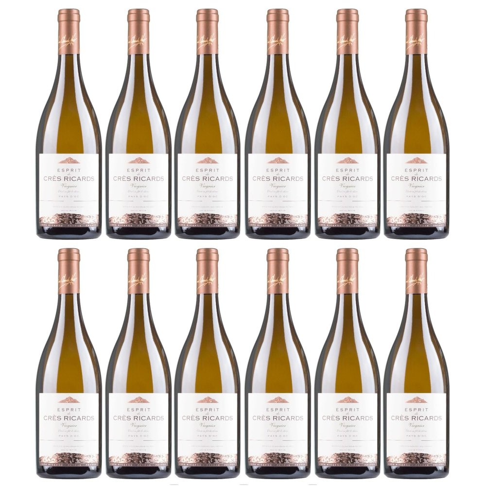 Domaines Paul Mas Esprit de Crs Ricards Viognier Dry White Wine, France, with FeinWert E-Book (12 x 0.75 L)
