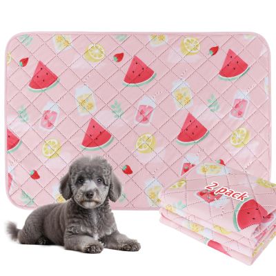 BVAGSS Washable Pet Urine Pads, 2 Reusable Puppy Training Pads, Highly Absorbent, XH081, 75 x 50 cm, Watermelon