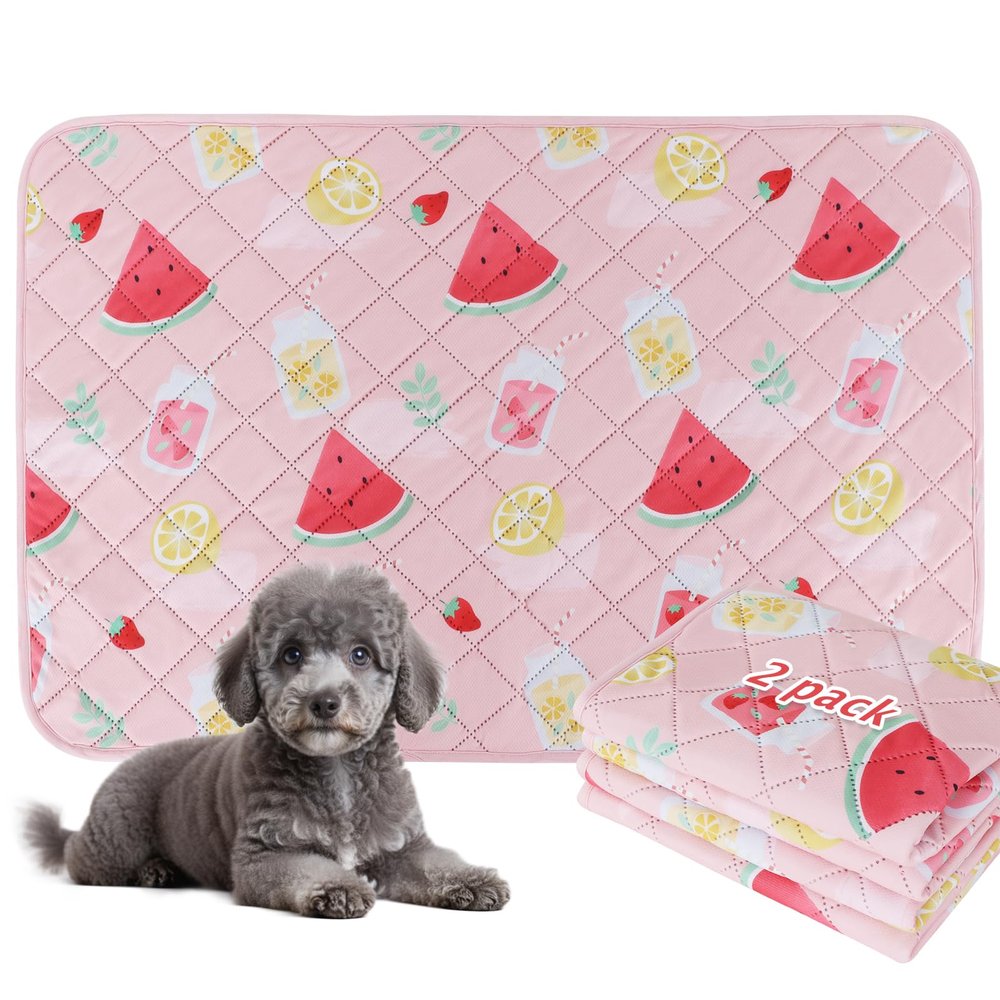BVAGSS Washable Pet Urine Pads, 2 Reusable Puppy Training Pads, Highly Absorbent, XH081, 75 x 50 cm, Watermelon