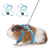 CQJ 2-Pack Adjustable Harnesses with Leashes for Hamsters, Ferrets, Young Rabbits, Rats, and Mice with Bells (Blue) view 1