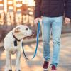 Chaies Dog Poop Bag Dispenser view 2