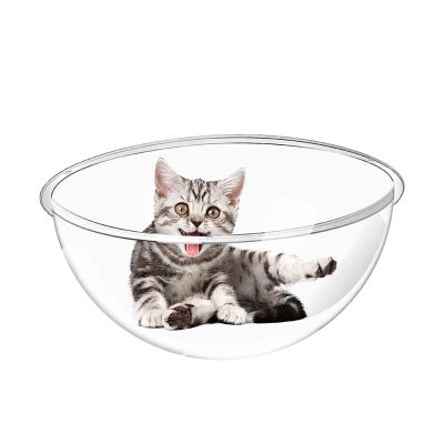 Transparent Acrylic Cat Bed for Small Spaces