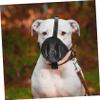 Adjustable Breathable Mesh Muzzle for Large Dogs view 3