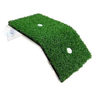 Turtle Basking Ramp