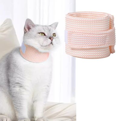Cat Recovery Collar, Adjustable & Breathable