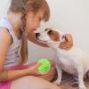 Bouncing Dog Ball for Aggressive Chewers view 3