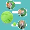 Bouncing Dog Ball for Aggressive Chewers view 4