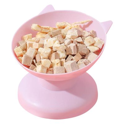 Tilted Elevated Cat Bowl