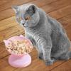 Tilted Elevated Cat Bowl view 2