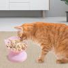 Tilted Elevated Cat Bowl view 3