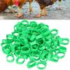 Quail Leg Bands, Baby Chick Leg Bands, Chicken Identification Bands, Clip-On, Round Plastic Identification Loop Bands, 100 Pieces, Numbered view 2