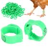 Quail Leg Bands, Baby Chick Leg Bands, Chicken Identification Bands, Clip-On, Round Plastic Identification Loop Bands, 100 Pieces, Numbered view 4
