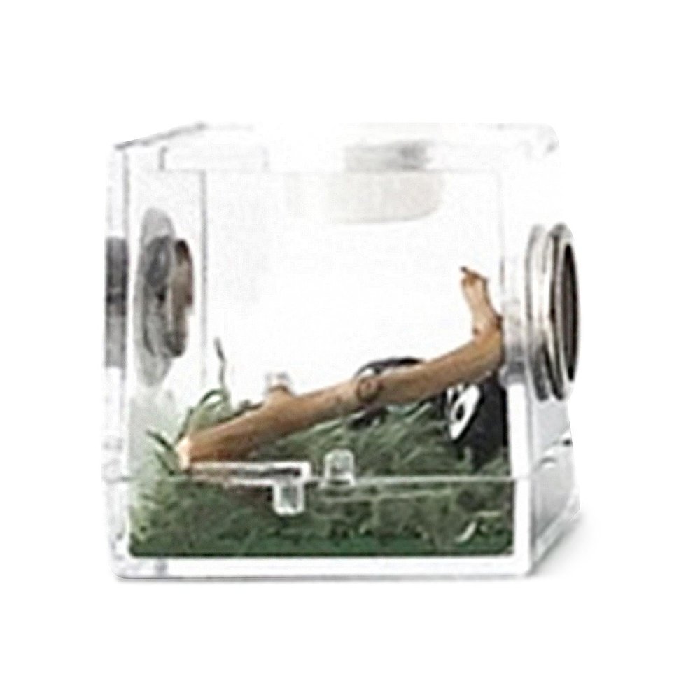 Transparent Insect Feeding Box for Reptiles