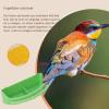 Bird Food Cup for Cages, Bird Slot Feeder view 3