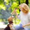 Bone Toy for Small Dogs - Beef Flavor Chew Toy view 2