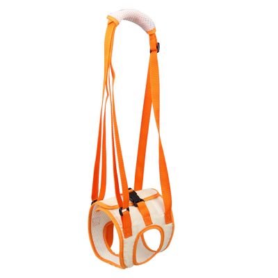 Hip Support for Dogs
