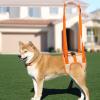 Hip Support for Dogs view 2