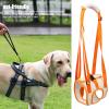 Hip Support for Dogs view 3