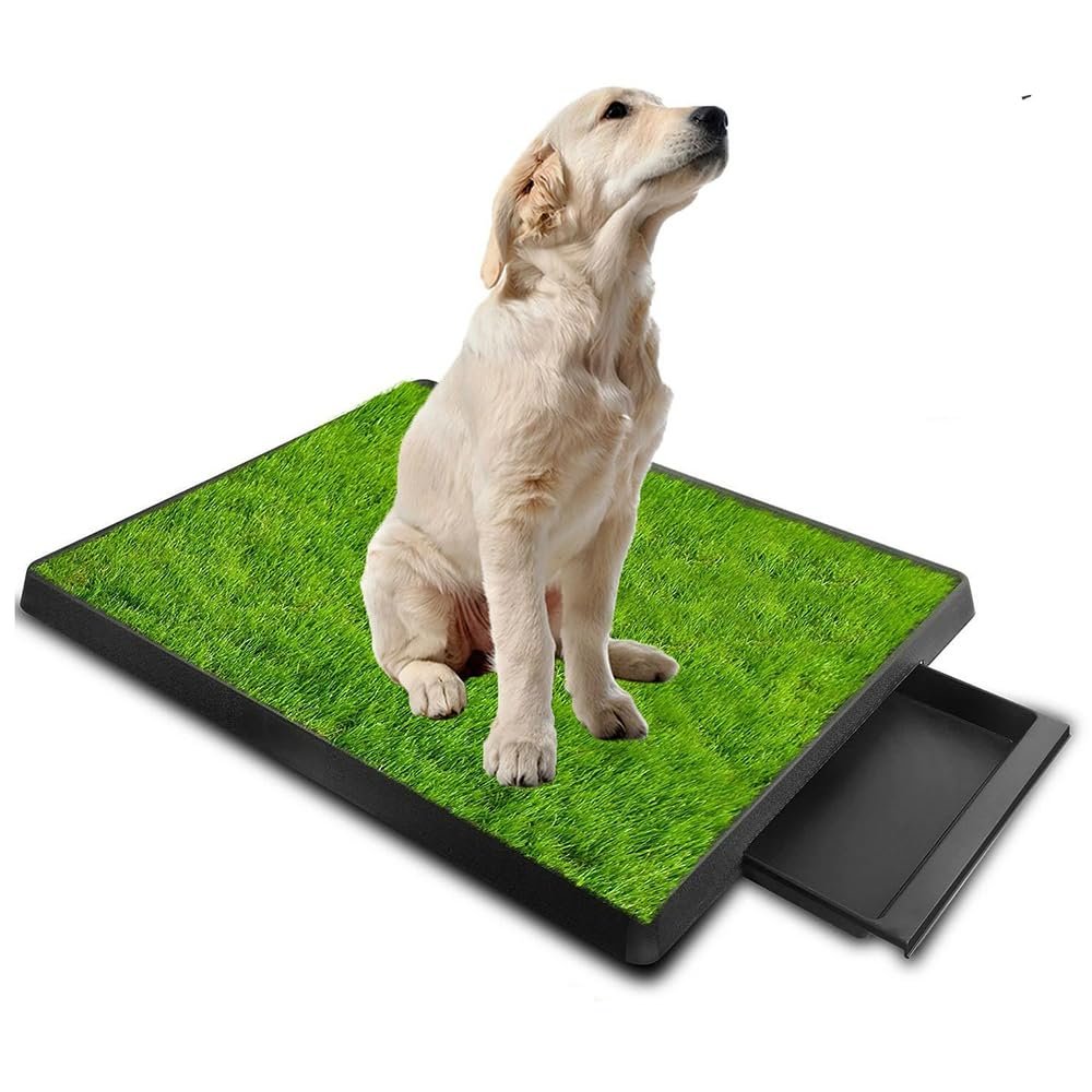 Indoor Dog Toilet with Artificial Grass and Urine Divider, 64 x 51 cm