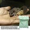 Zasdvn Sugar Gliders Sleeping Bag view 2