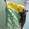 Zasdvn Sugar Gliders Sleeping Bag view 3