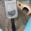 Cat Litter Scoop view 2