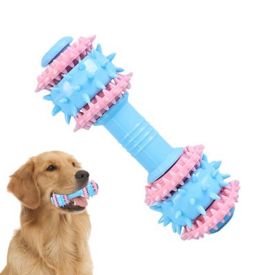 Durable Dog Chew Toy with Toothbrush Design