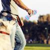 Durable Dog Chew Toy with Toothbrush Design view 2